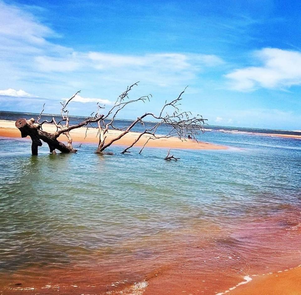 Pousada Barra Mares 무쿠리 외부 사진